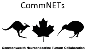 CommNETs
