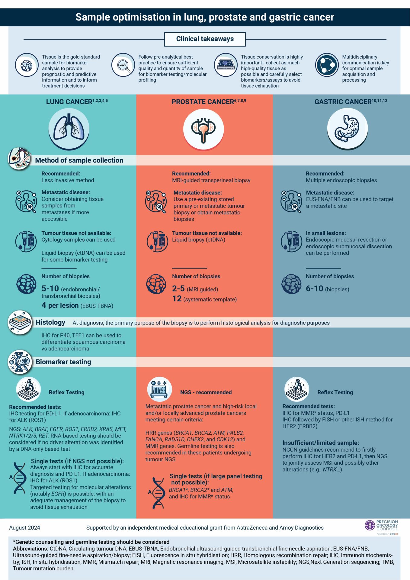 Infographic - Optimising samples for biomarker testing in lung, prostate and gastric cancer